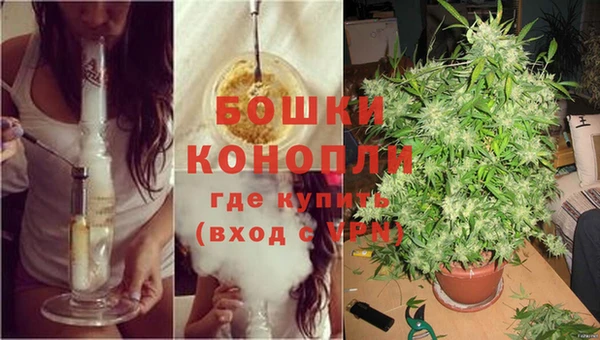 мяу мяу мука Беломорск