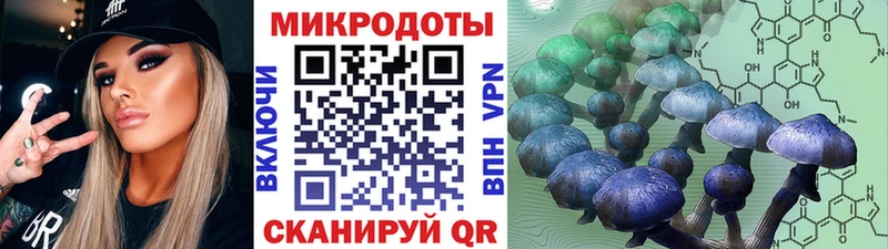 купить наркотики цена Курильск Галлюциногенные грибы Psilocybe